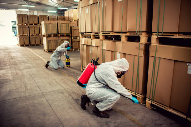 Best Affordable Pest Control Services  in Plymouth, MI