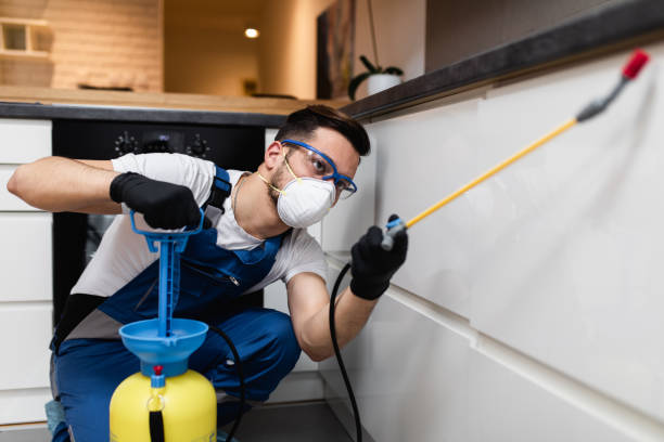 Best Pest Prevention Services  in Plymouth, MI