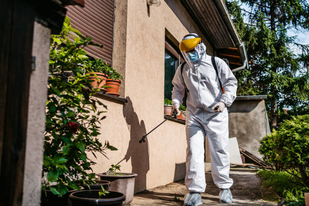 Best Rat Extermination Near Me  in Plymouth, MI