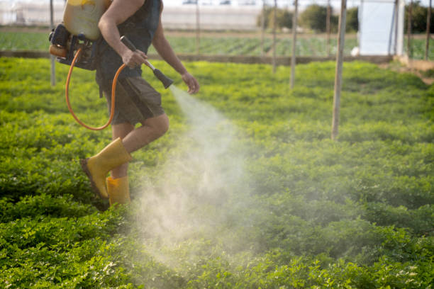Best Ant Control Services  in Plymouth, MI