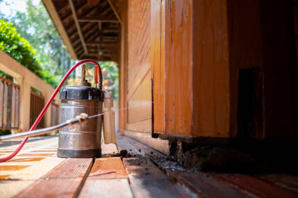 Best Best Pest Control Companies  in Plymouth, MI