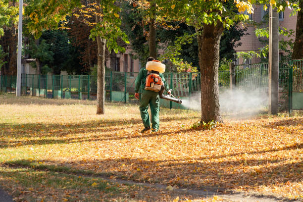 Best Bird Control  in Plymouth, MI