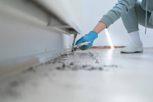 Best Cockroach Control Services  in Plymouth, MI