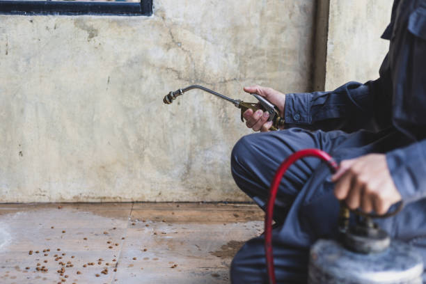 Best Local Pest Control Services  in Plymouth, MI